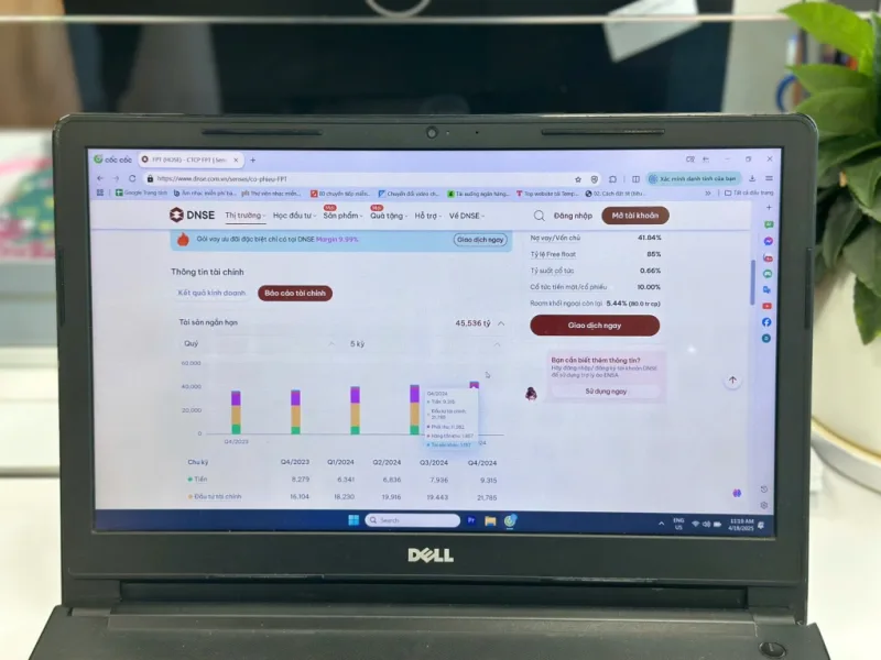 DNSE tổng hợp và phân tích báo cáo tài chính ngay trên trang web và app Entrade X by DNSE. Ảnh: Minh Ngọc