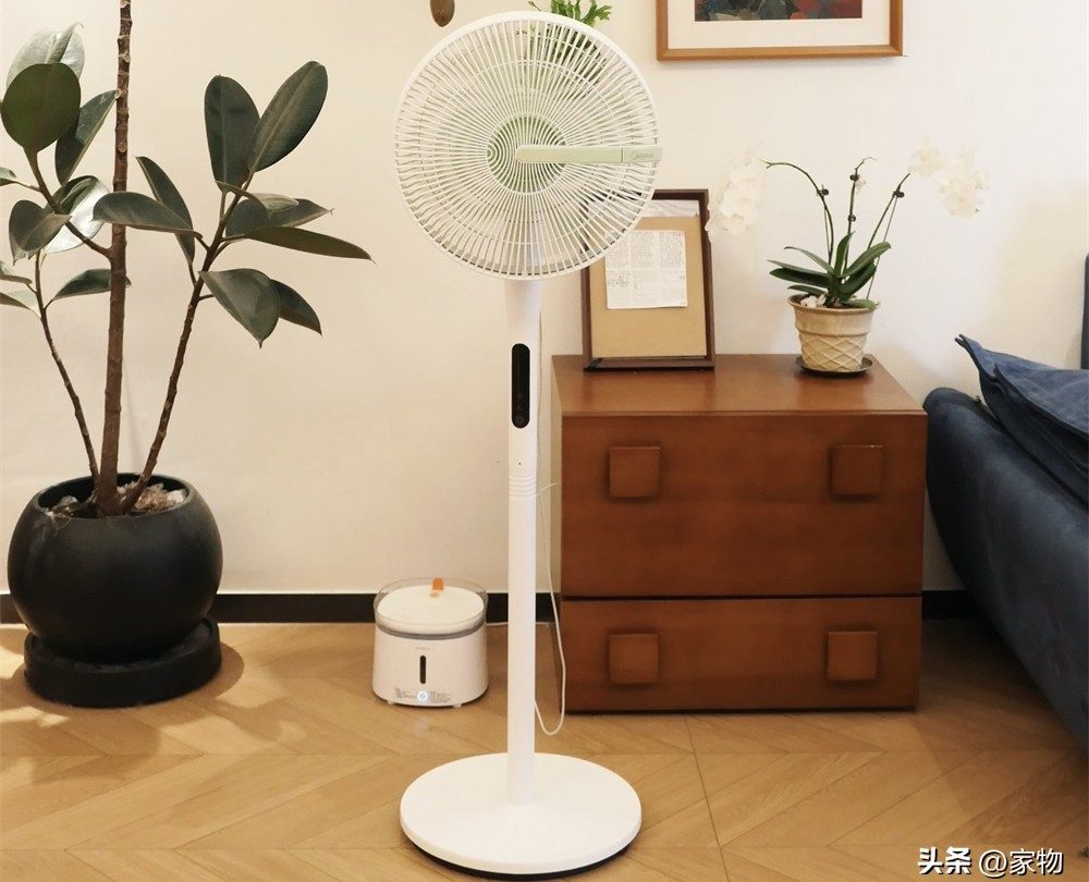 7 món đồ gia dụng nhỏ tôi từng nghĩ không cần mua: Dùng rồi mới hiểu vì sao nhiều người nói ‘có tiền nên sắm sớm - Ảnh 1.