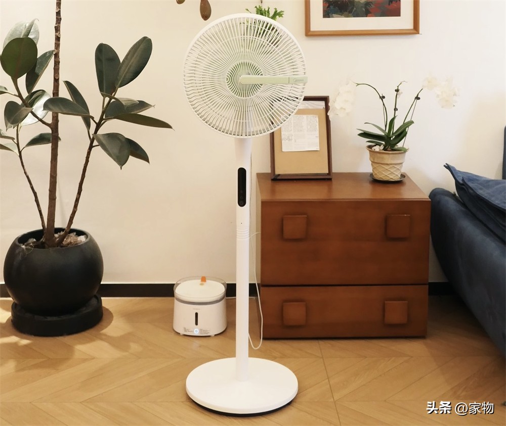 7 món đồ gia dụng nhỏ tôi từng nghĩ không cần mua: Dùng rồi mới hiểu vì sao nhiều người nói ‘có tiền nên sắm sớm - Ảnh 1.