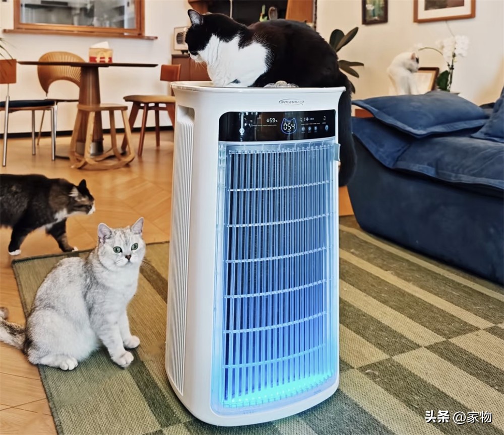 7 món đồ gia dụng nhỏ tôi từng nghĩ không cần mua: Dùng rồi mới hiểu vì sao nhiều người nói ‘có tiền nên sắm sớm - Ảnh 3.