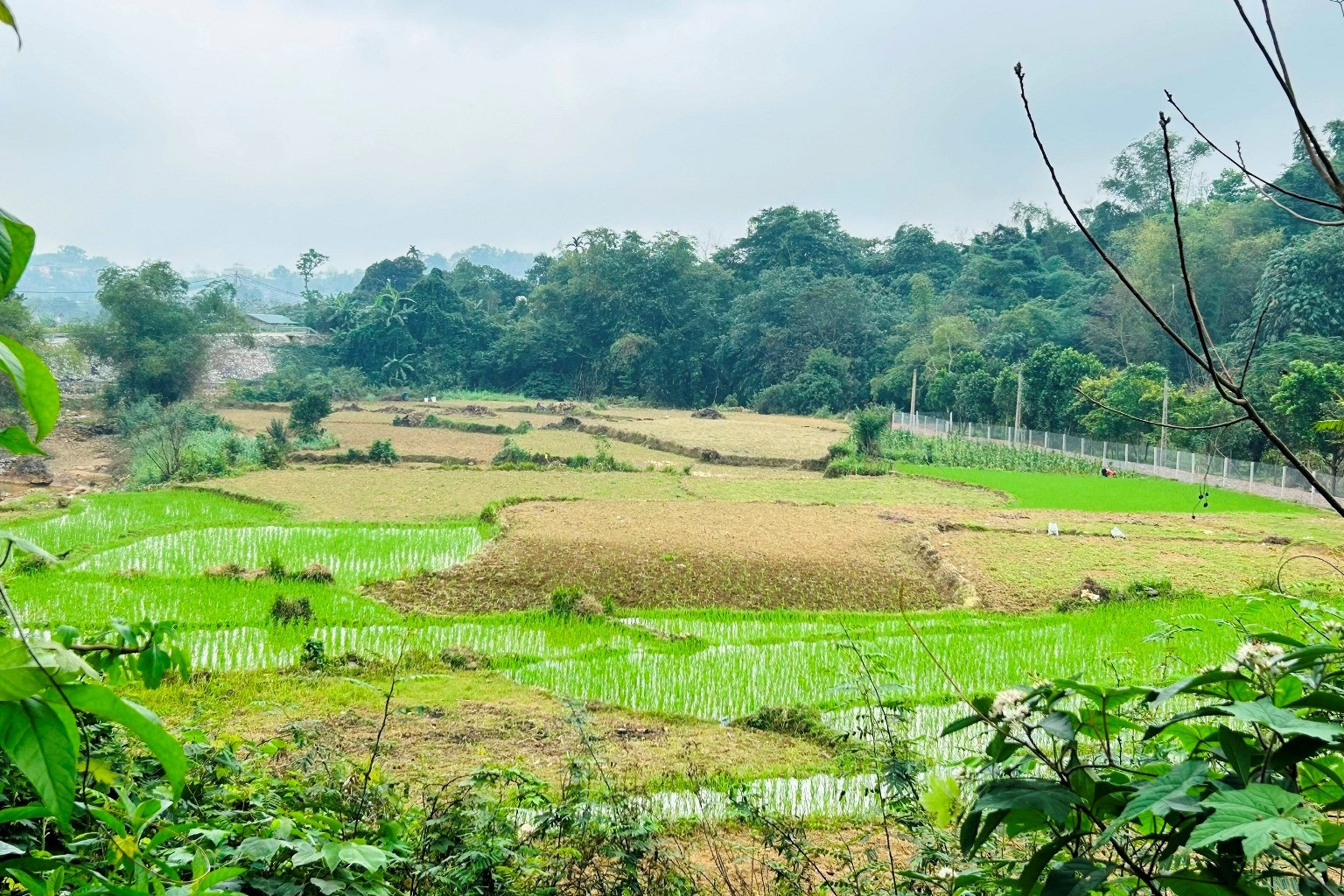Lãnh đạo Cục Quản lý nhà:Hết niên hạn chung cư, người dân không mất quyền sở hữu (ảnh 4)